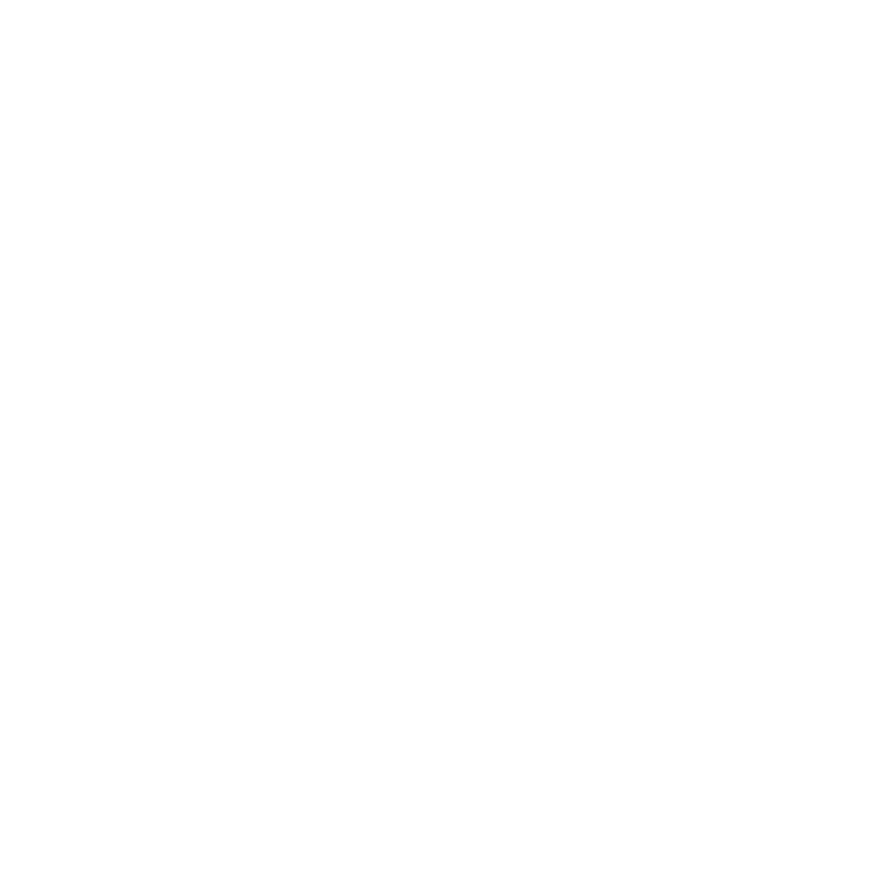 LPM GROUP S.p.A.