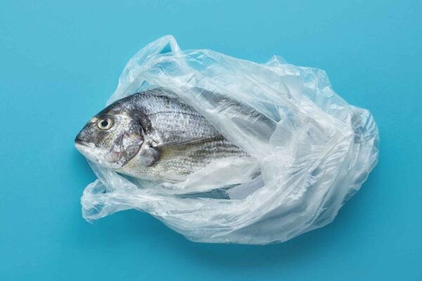 Soluzioni di packaging per prodotti freschi e pescherie